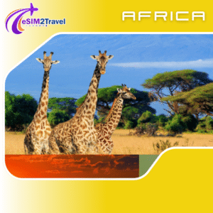 africa